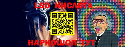 стафф Донецк