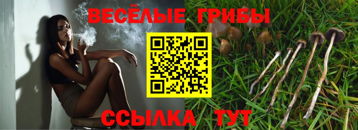 A-PVP Нефтекумск
